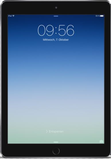 ipad air 2 display (A1566, A1567)